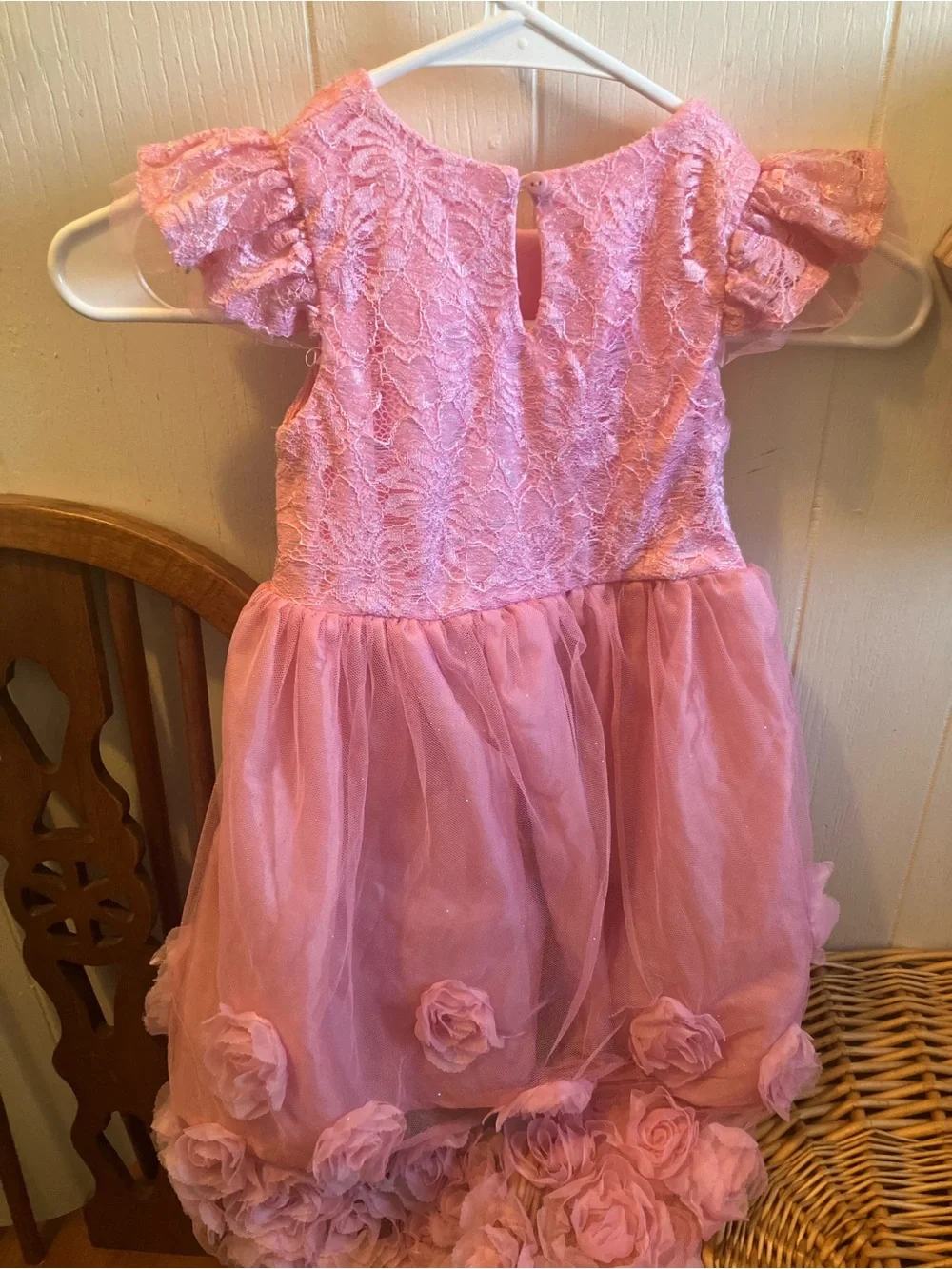 Nanette Kid's Pink Lace & Rose Appliqué Tulle Dress Size 5 EUC